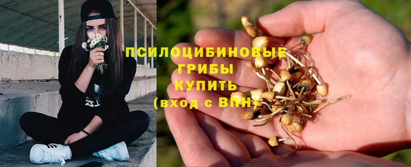 экстази Абаза